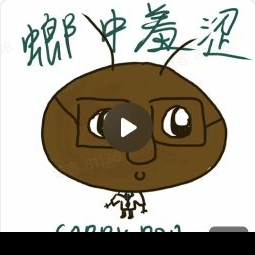 螂饼干品牌应用 1